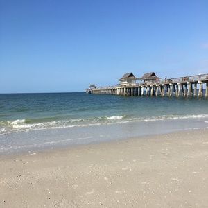 Meet your Posher, Louise